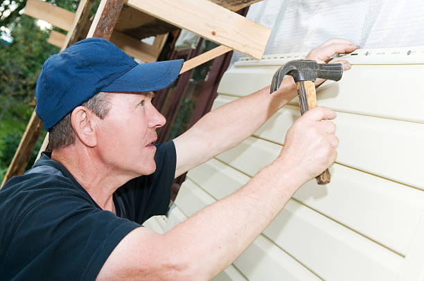 Affordable Siding Repair and Maintenance Services in Pine, AZ