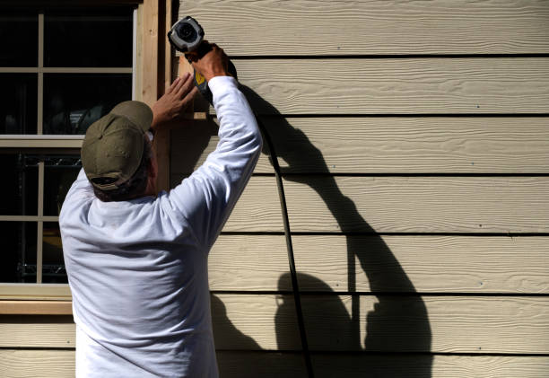 Best Engineered Wood Siding  in Pine, AZ