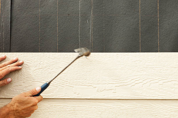 Best Vinyl Siding Installation  in Pine, AZ