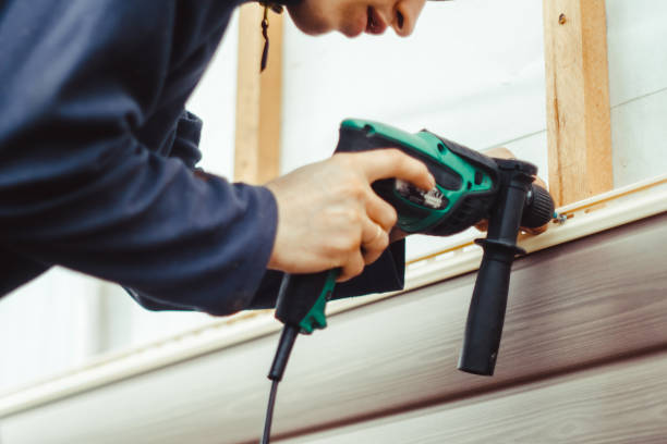 Best Custom Trim and Detailing for Siding  in Pine, AZ